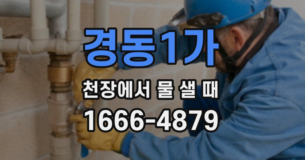 경동1가 천장에서 물 샐 때