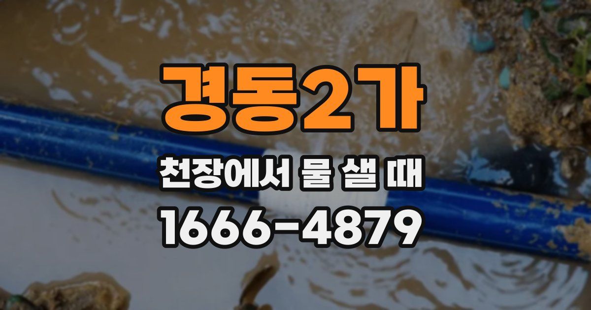경동2가 천장에서 물 샐 때