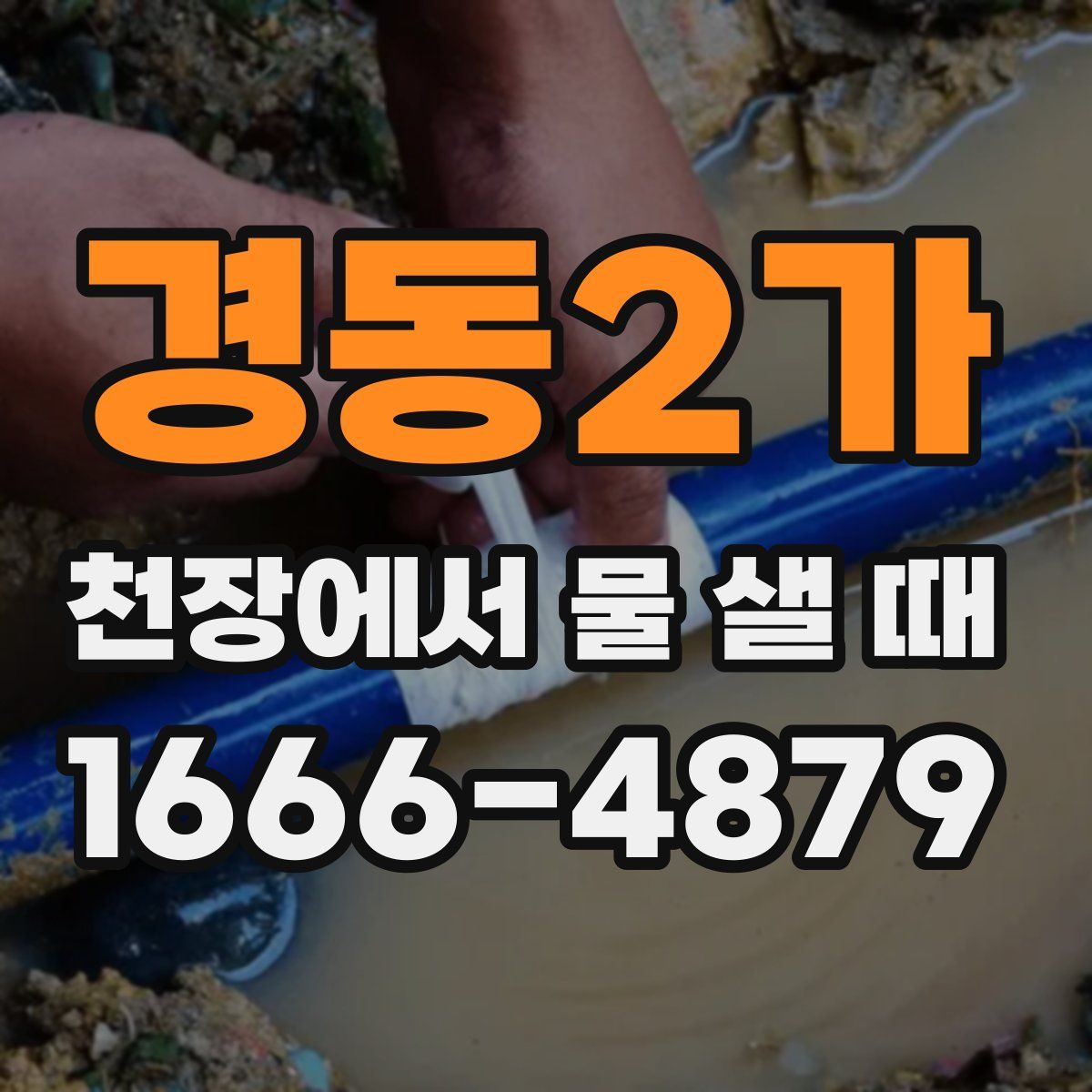 경동2가 천장에서 물 샐 때