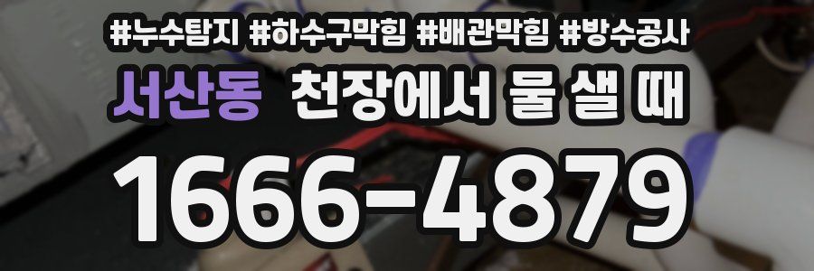 서산동 천장에서 물 샐 때