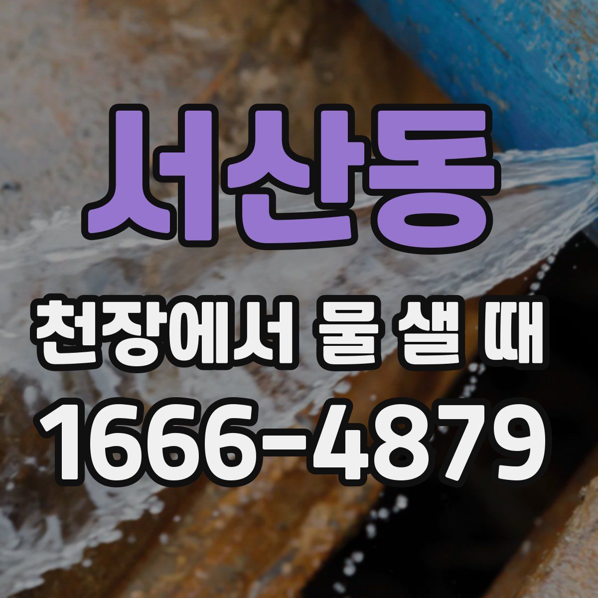 서산동 천장에서 물 샐 때