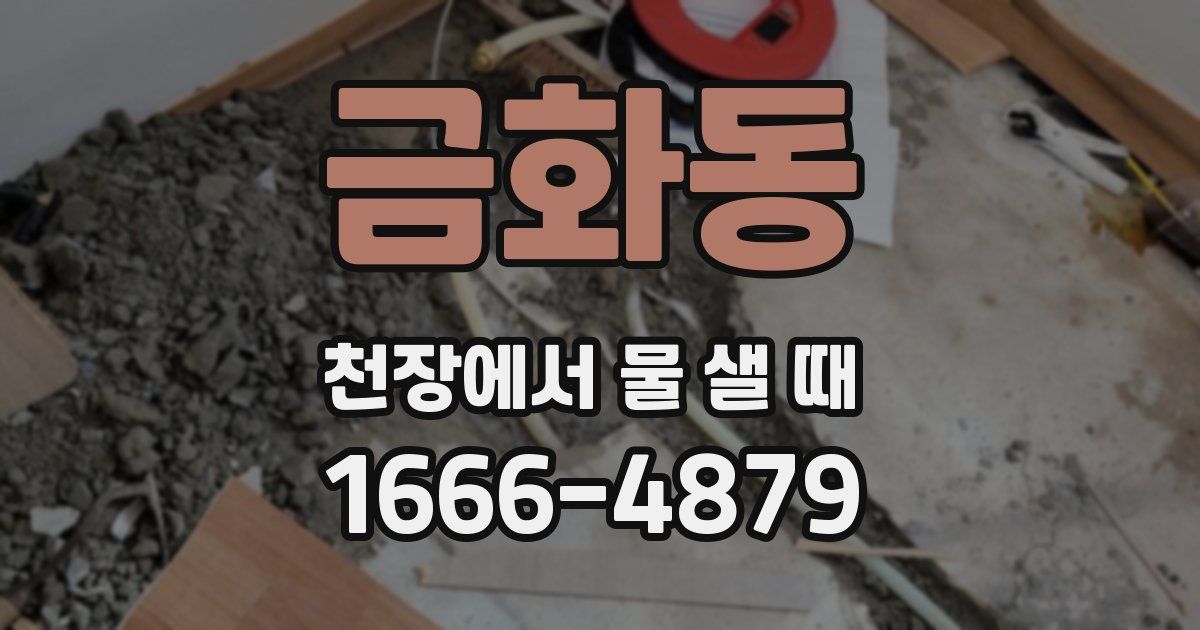 금화동 천장에서 물 샐 때