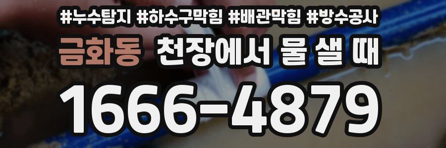 금화동 천장에서 물 샐 때