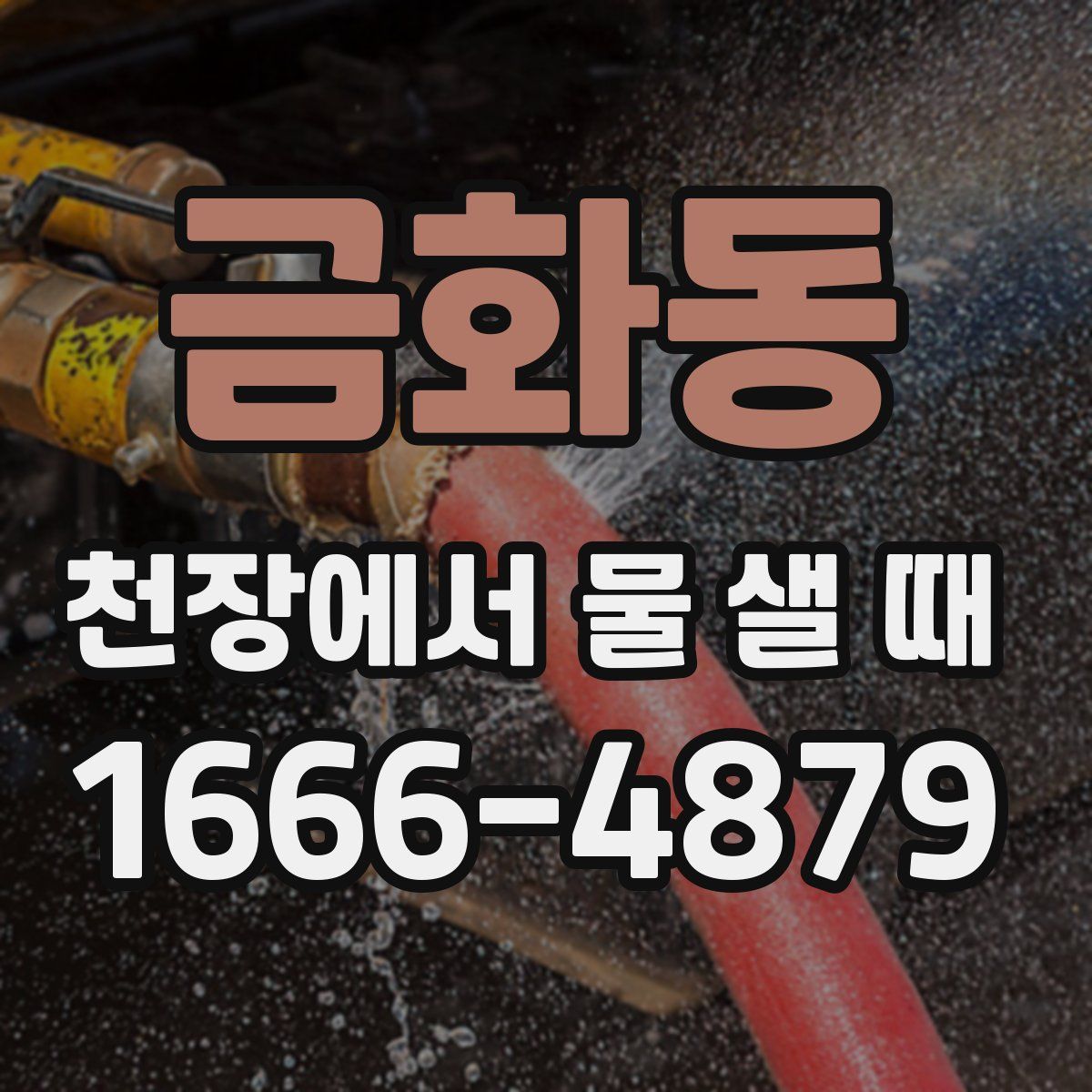 금화동 천장에서 물 샐 때