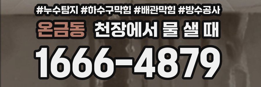 온금동 천장에서 물 샐 때