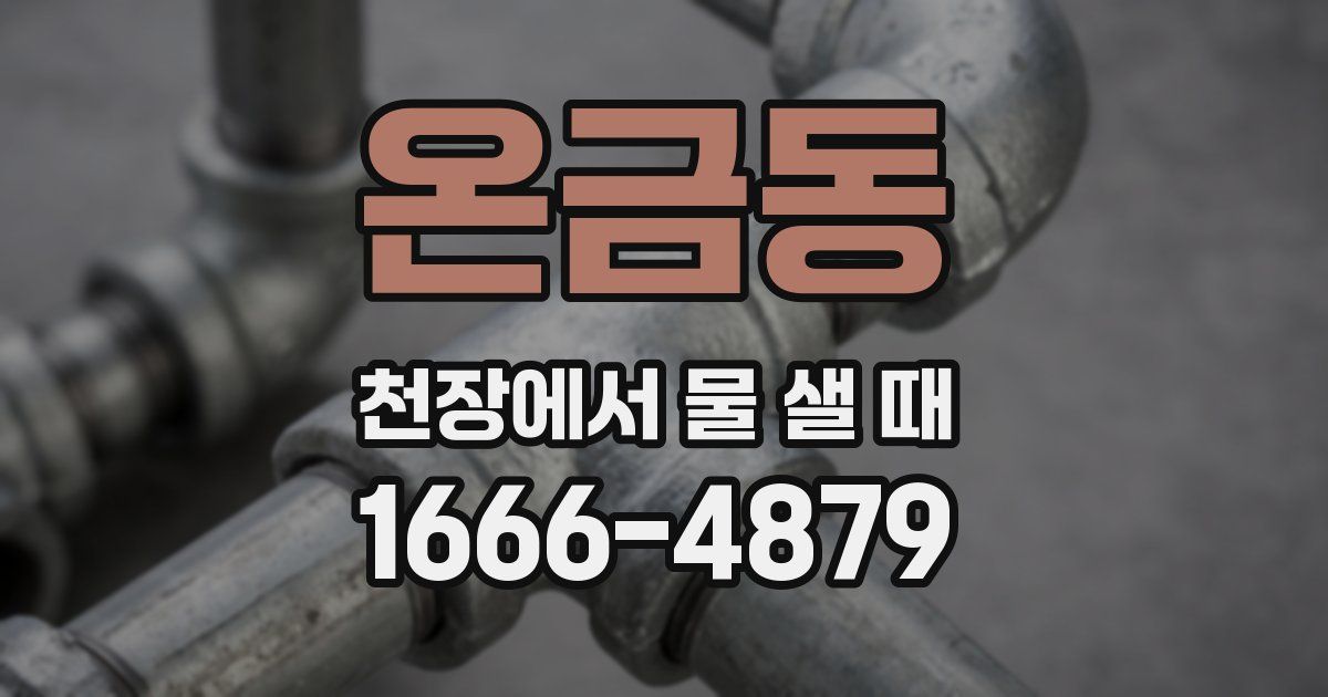 온금동 천장에서 물 샐 때