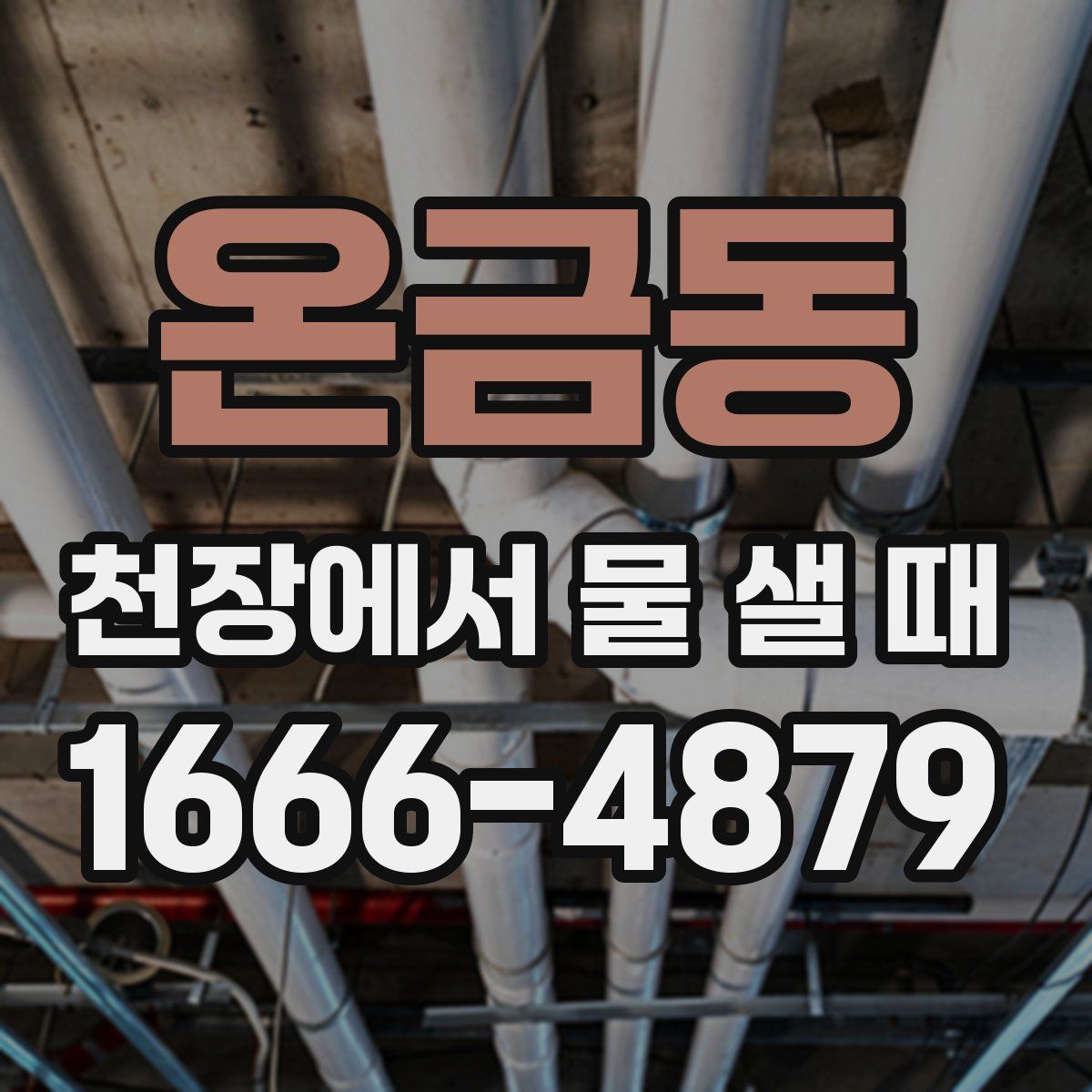 온금동 천장에서 물 샐 때