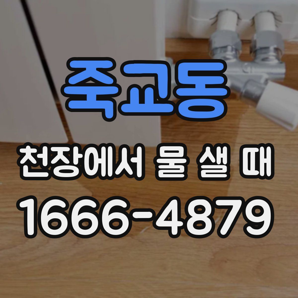 죽교동 천장에서 물 샐 때