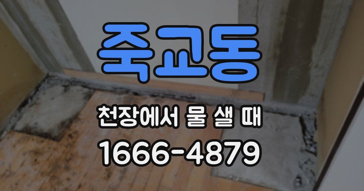 죽교동 천장에서 물 샐 때