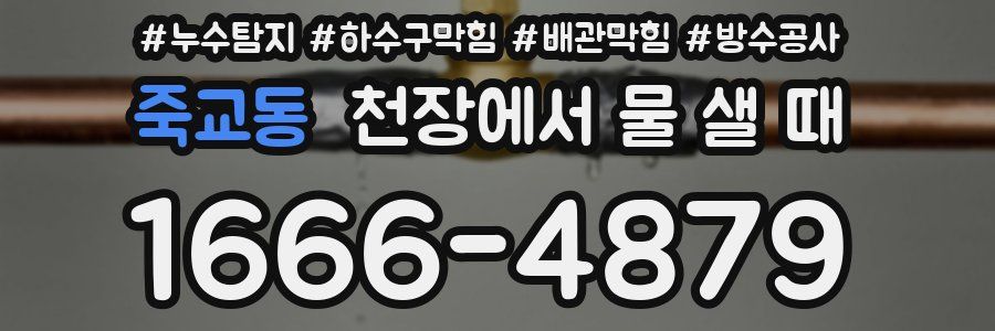 죽교동 천장에서 물 샐 때