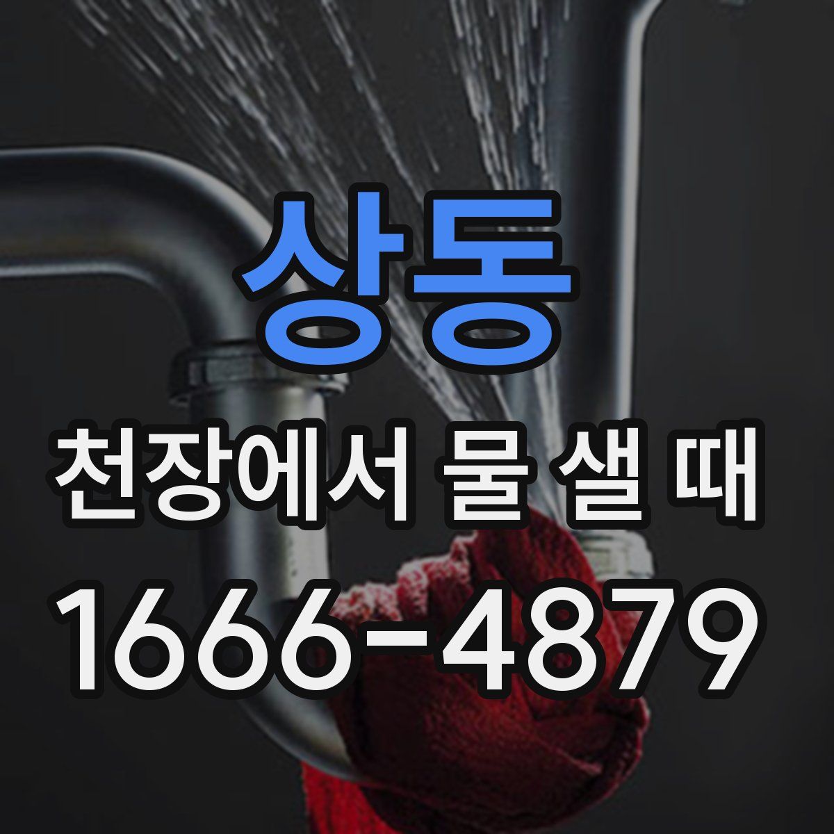 상동 천장에서 물 샐 때