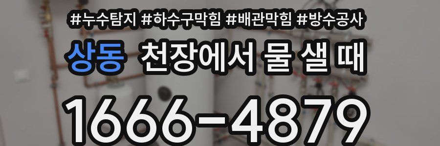상동 천장에서 물 샐 때