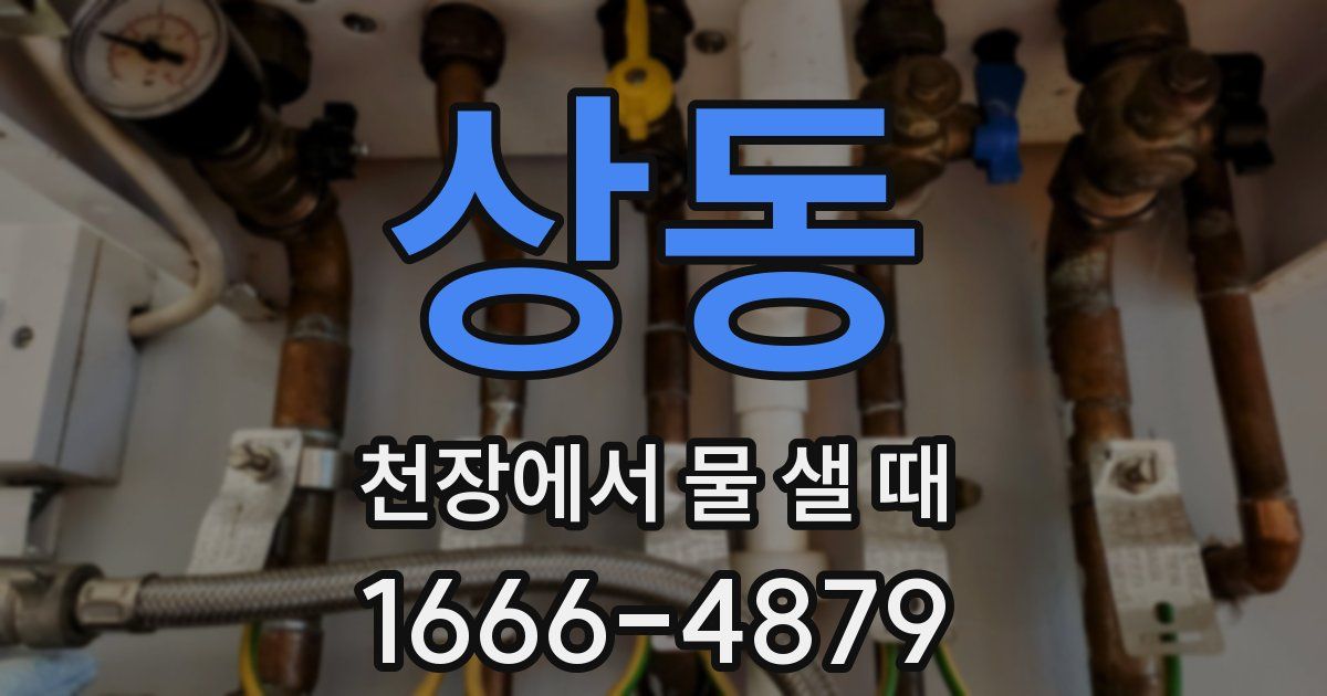 상동 천장에서 물 샐 때