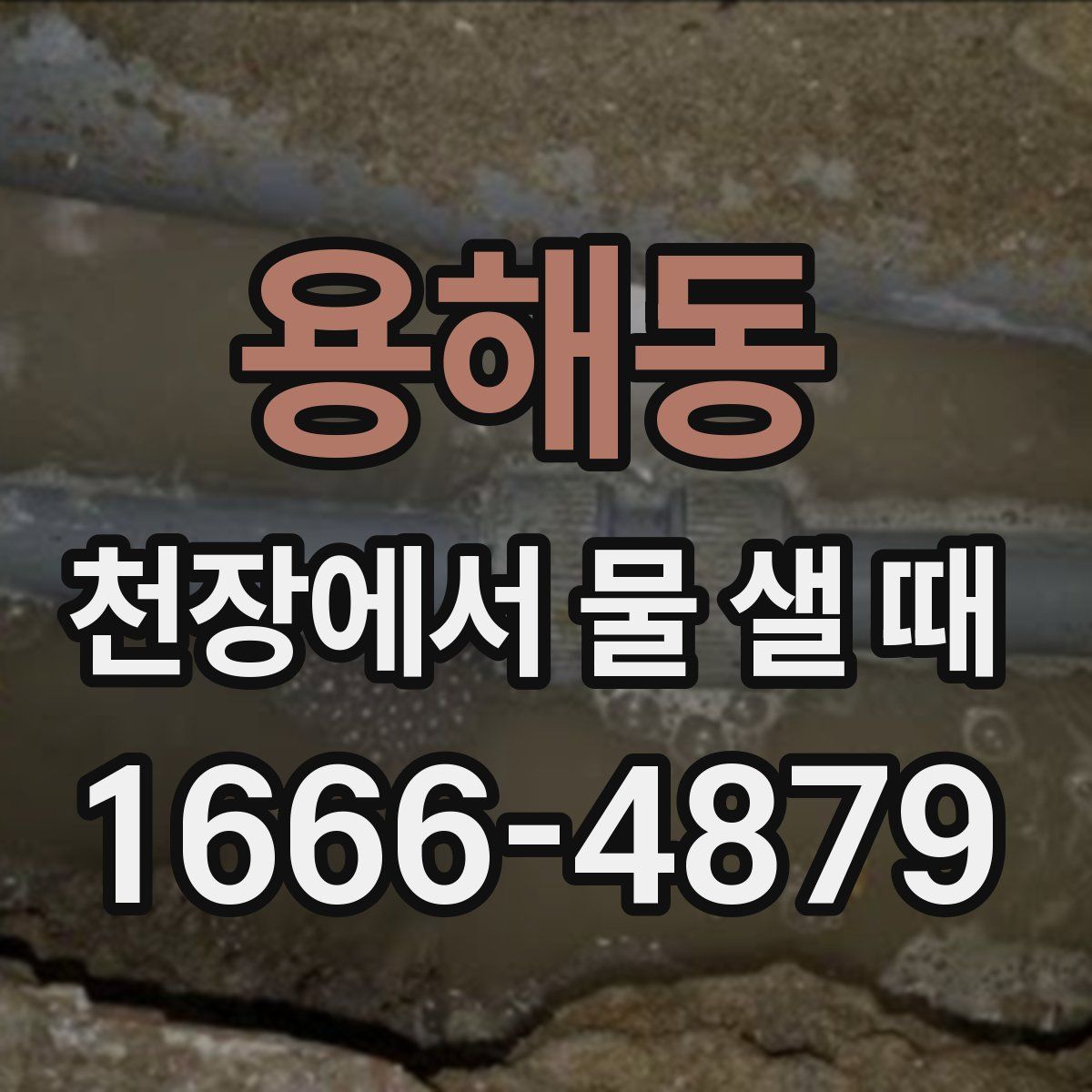 용해동 천장에서 물 샐 때
