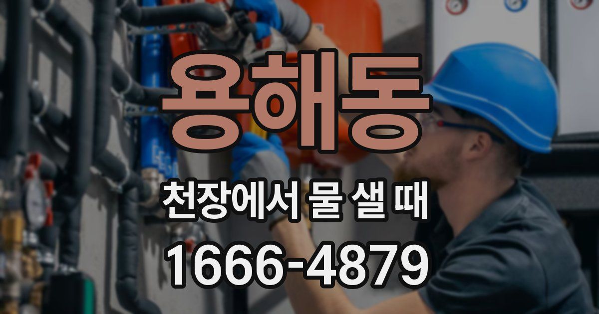 용해동 천장에서 물 샐 때