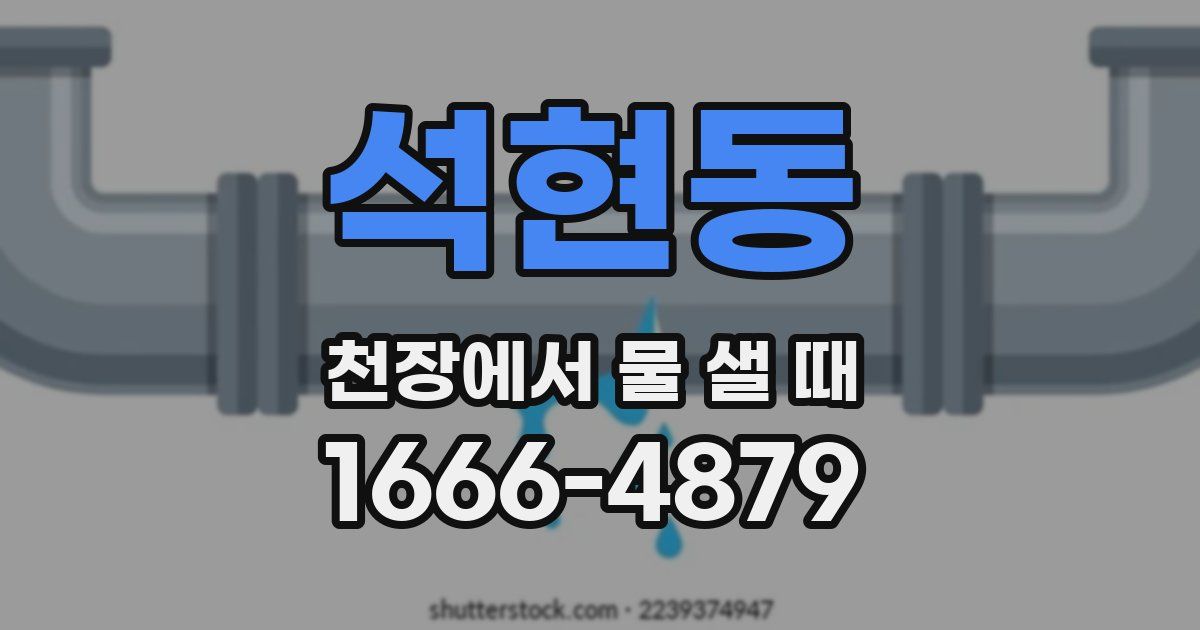 석현동 천장에서 물 샐 때