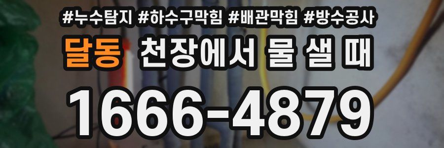 달동 천장에서 물 샐 때