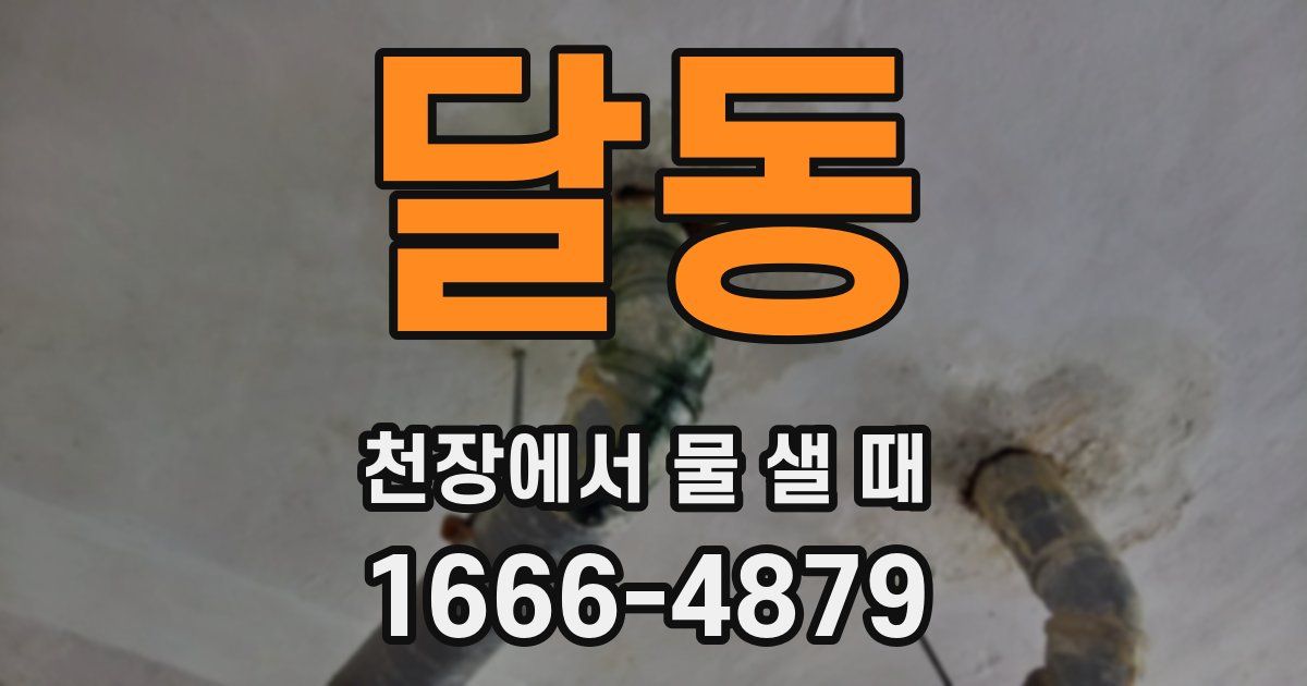 달동 천장에서 물 샐 때