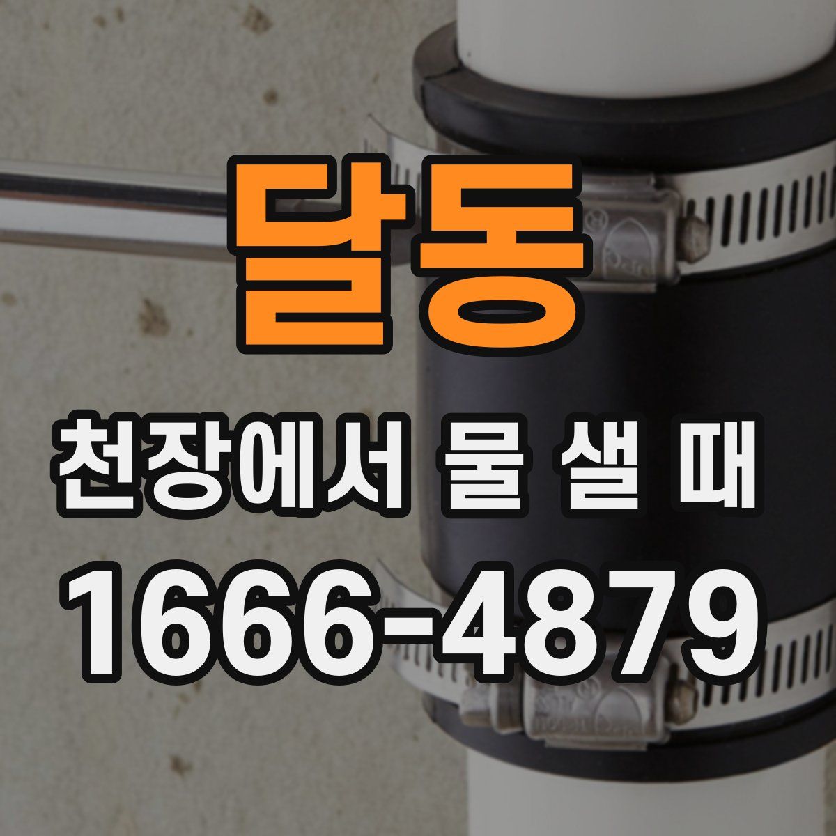 달동 천장에서 물 샐 때