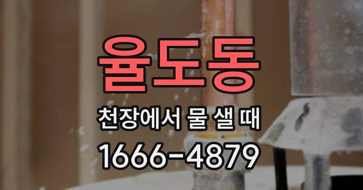 율도동 천장에서 물 샐 때