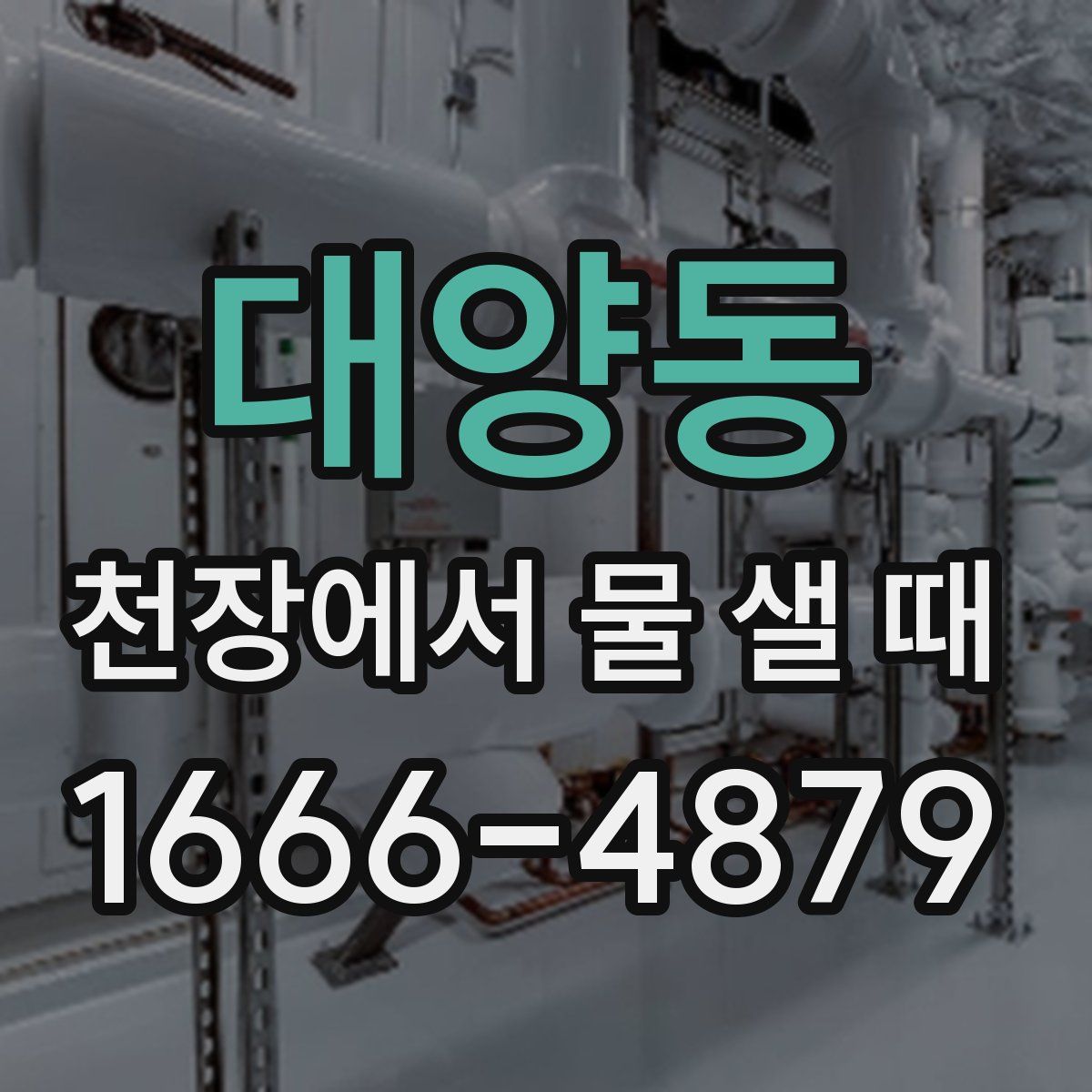 대양동 천장에서 물 샐 때