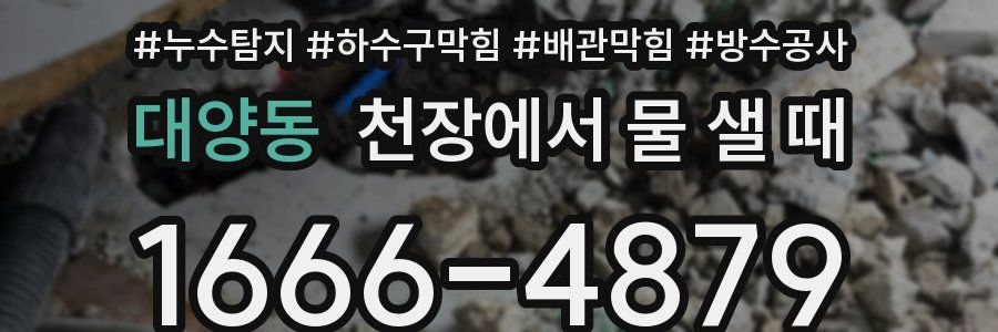 대양동 천장에서 물 샐 때