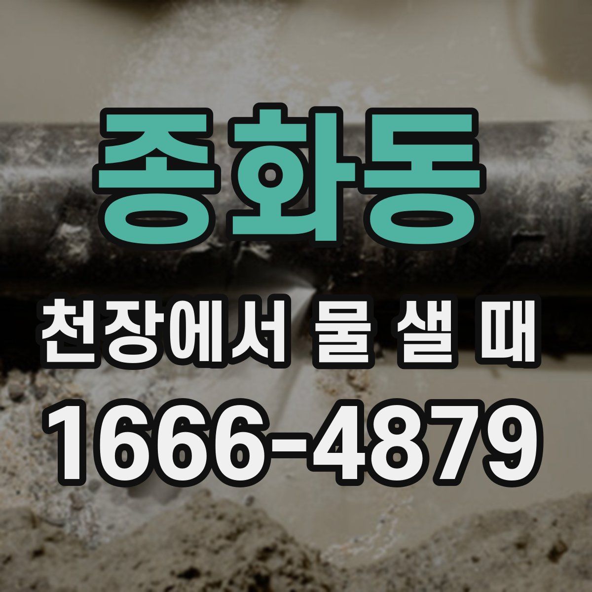 종화동 천장에서 물 샐 때
