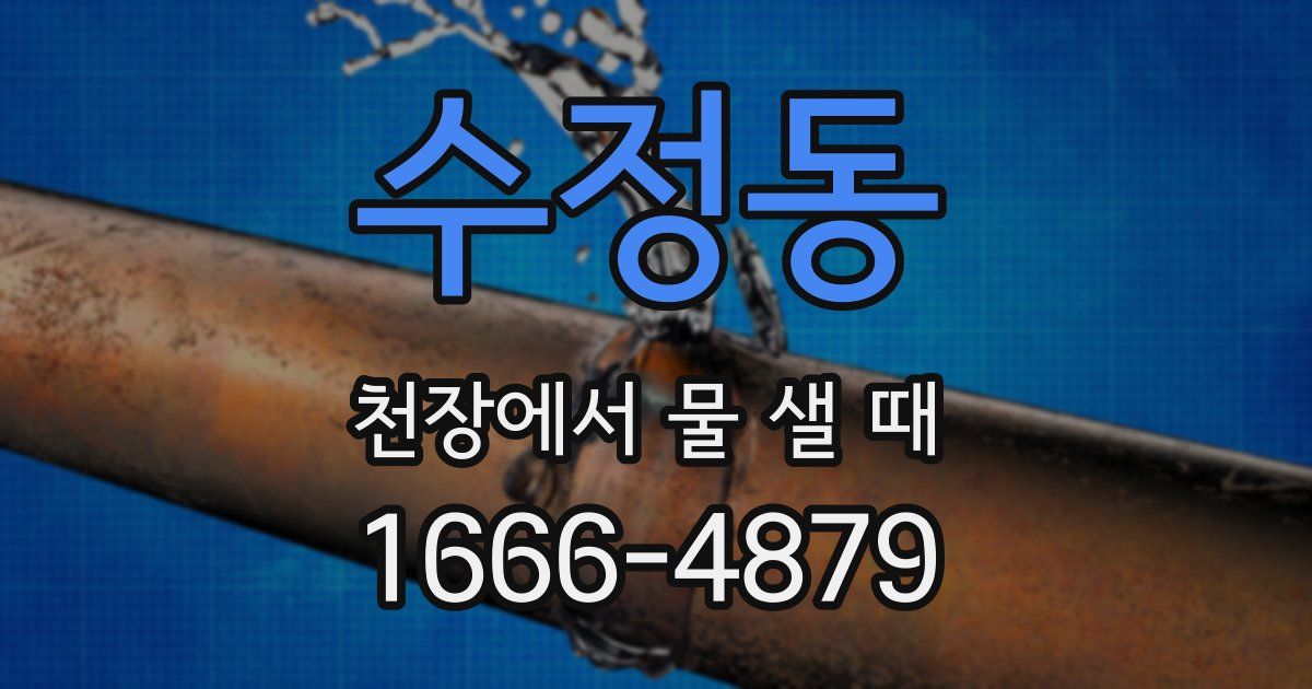 수정동 천장에서 물 샐 때