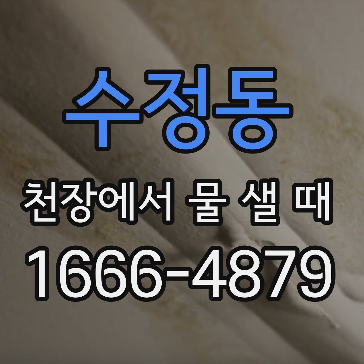 수정동 천장에서 물 샐 때