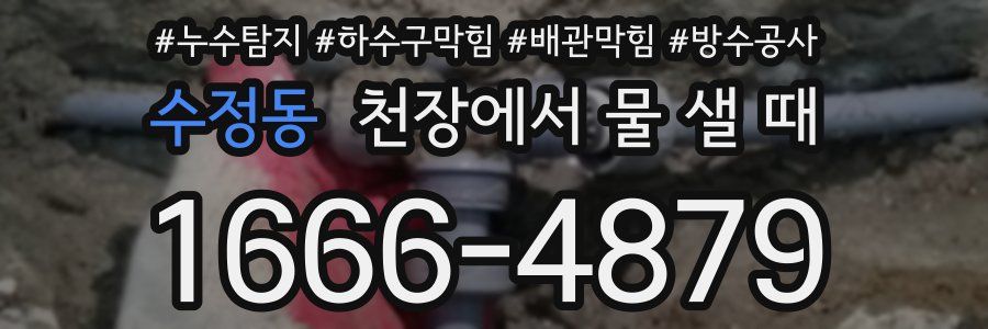 수정동 천장에서 물 샐 때
