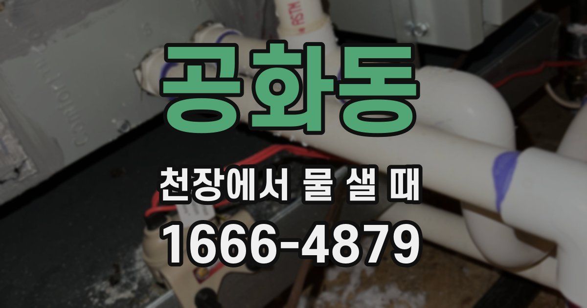공화동 천장에서 물 샐 때