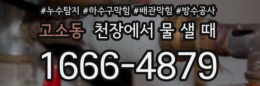 고소동 천장에서 물 샐 때