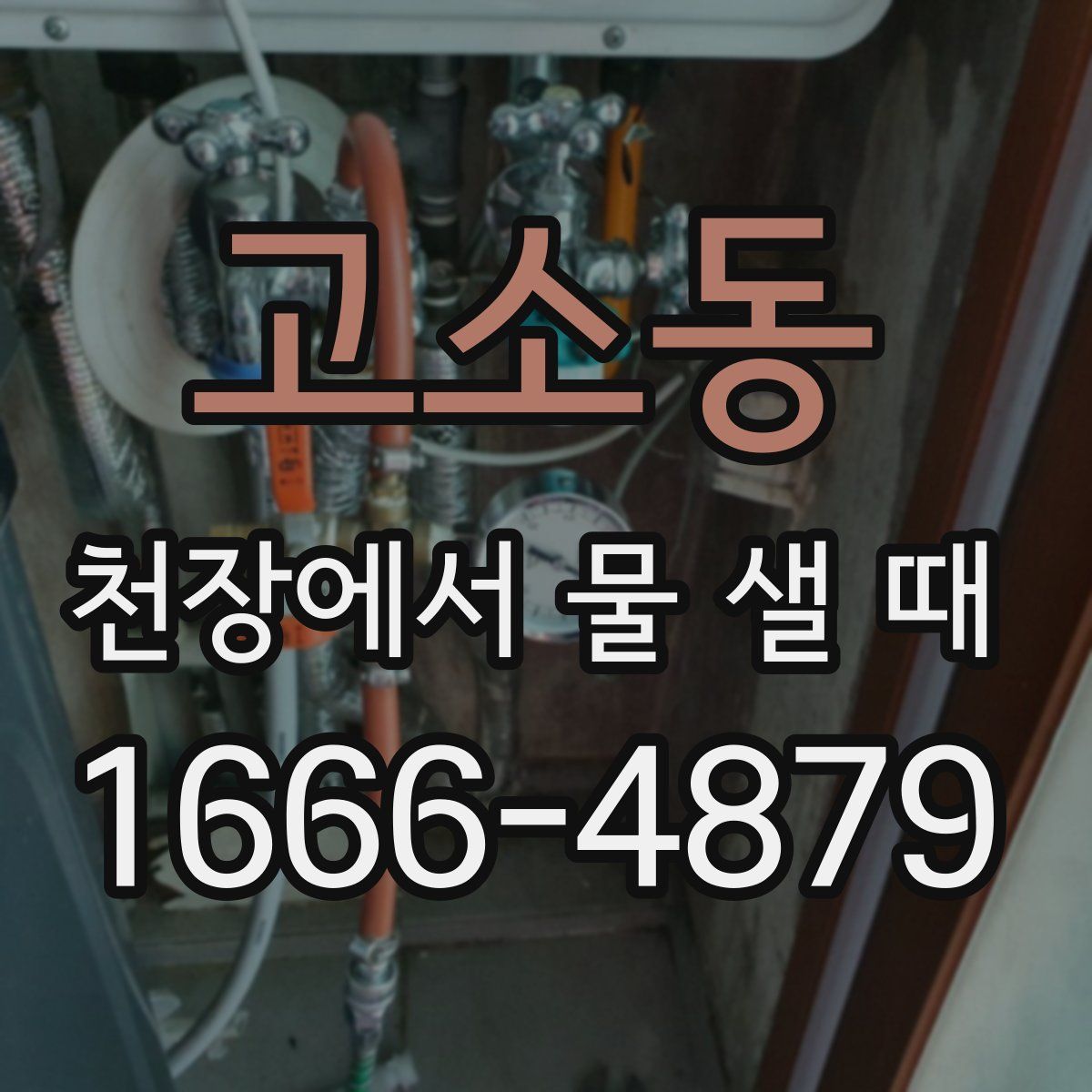 고소동 천장에서 물 샐 때