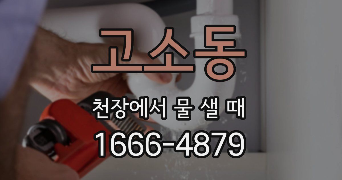 고소동 천장에서 물 샐 때
