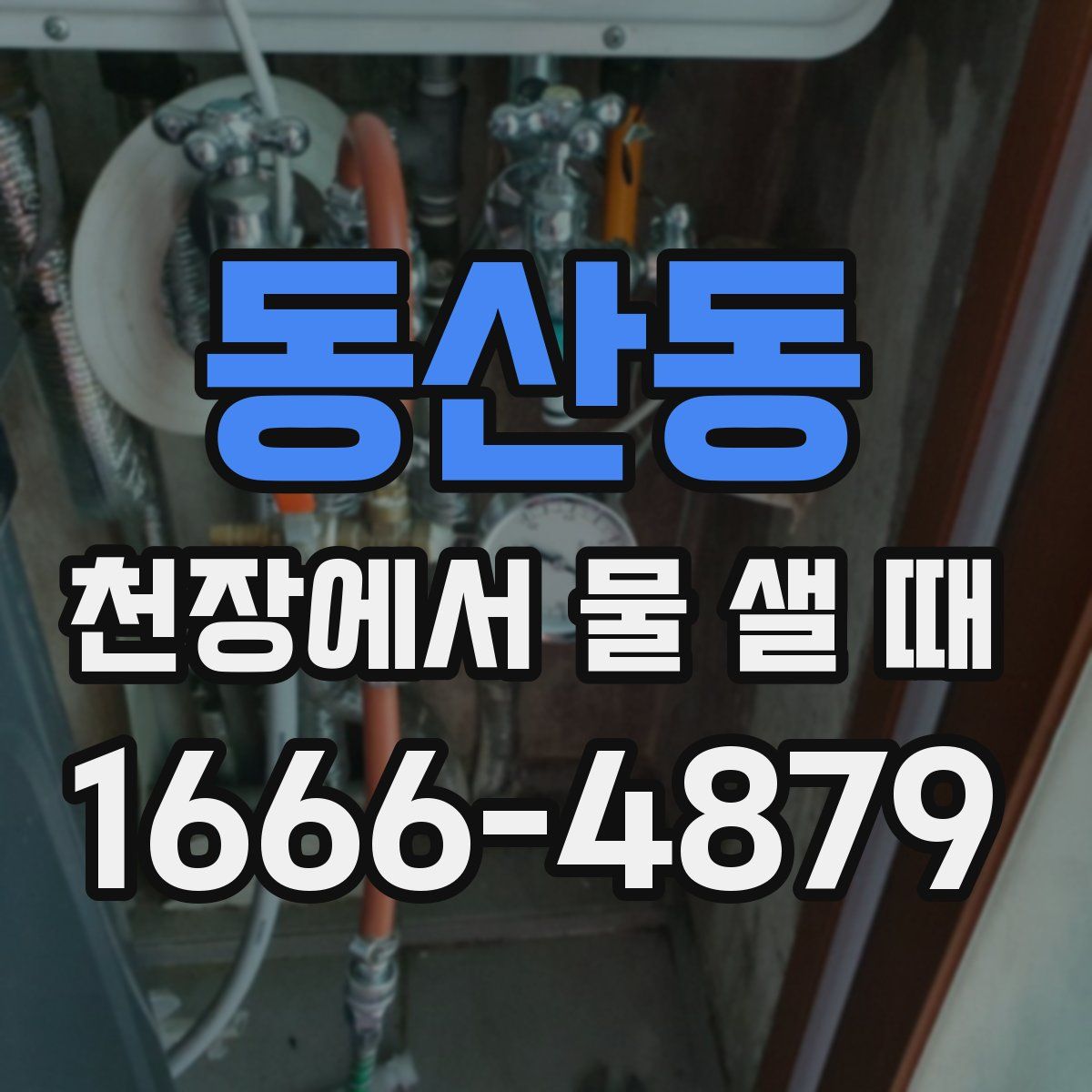 동산동 천장에서 물 샐 때