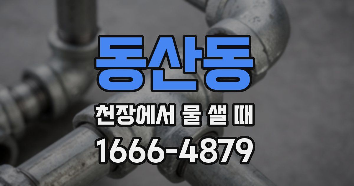 동산동 천장에서 물 샐 때