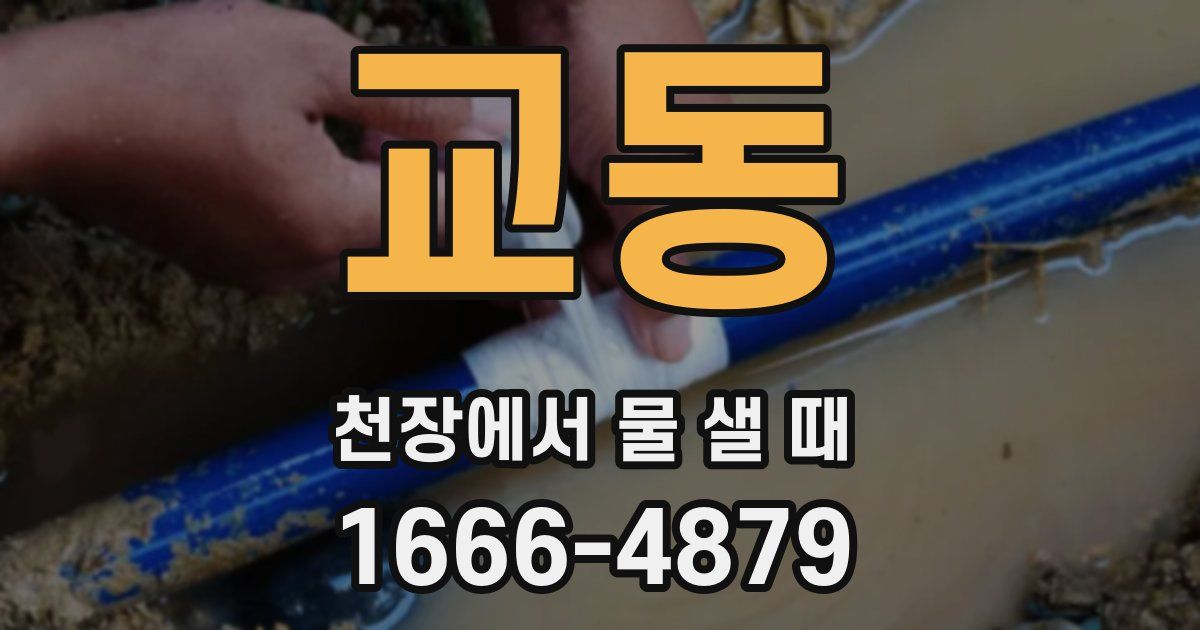 교동 천장에서 물 샐 때