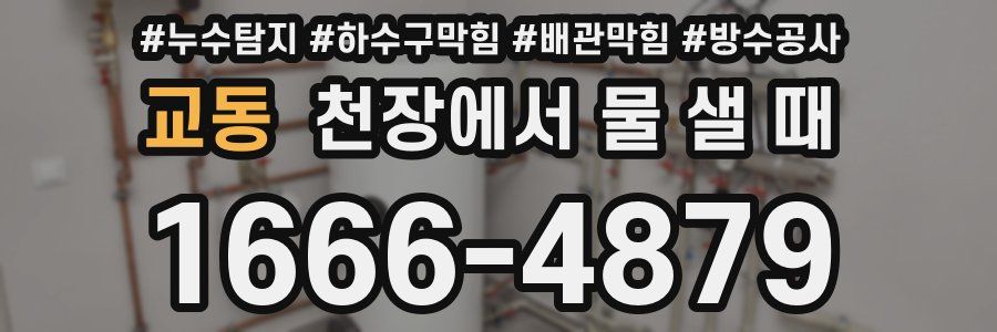 교동 천장에서 물 샐 때