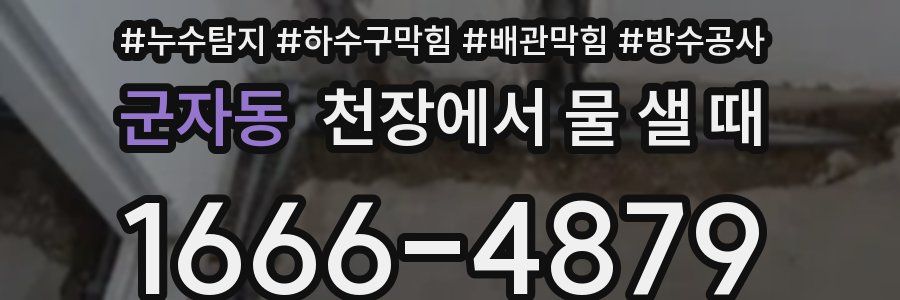 군자동 천장에서 물 샐 때