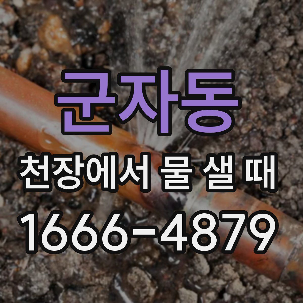군자동 천장에서 물 샐 때