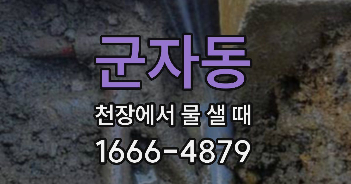 군자동 천장에서 물 샐 때