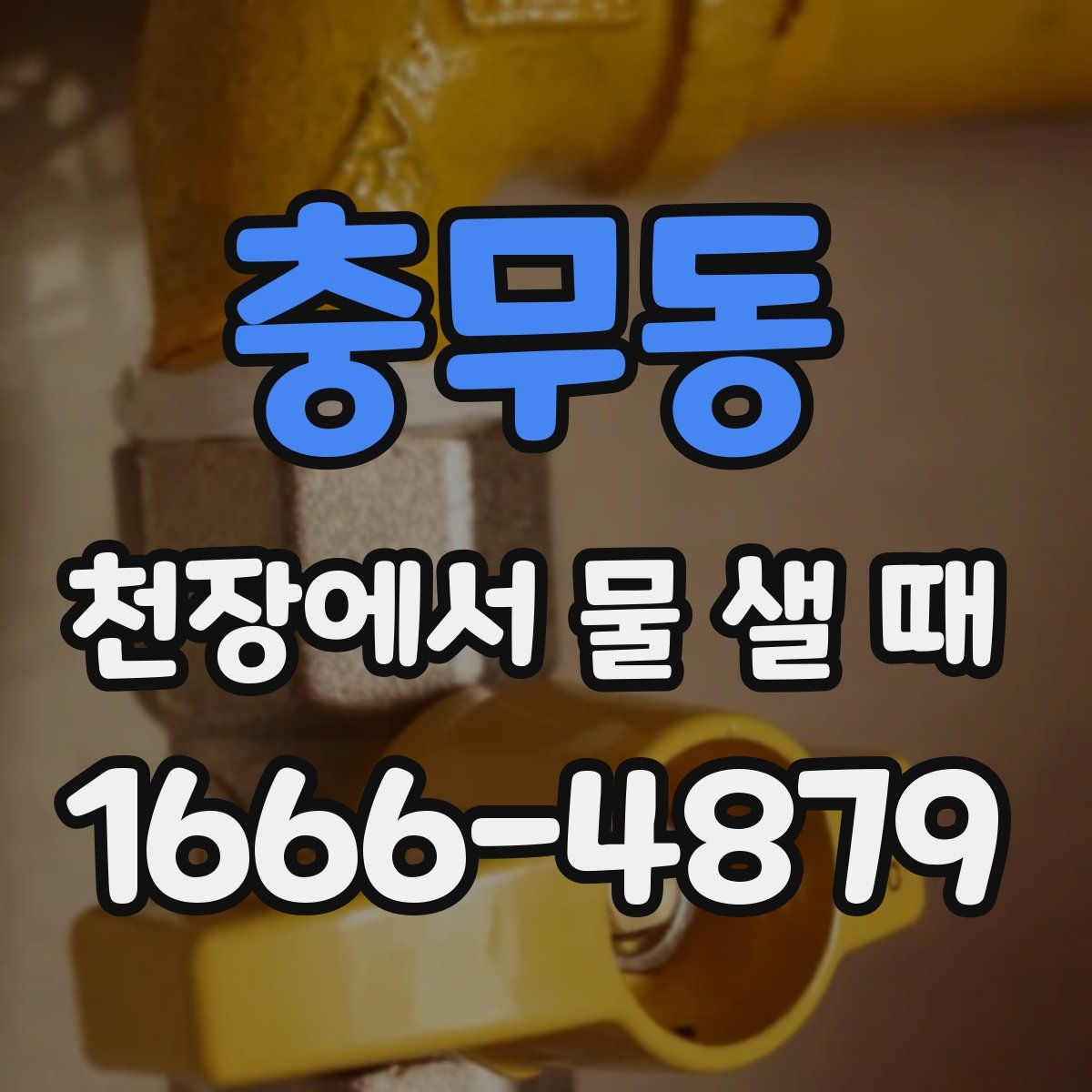 충무동 천장에서 물 샐 때