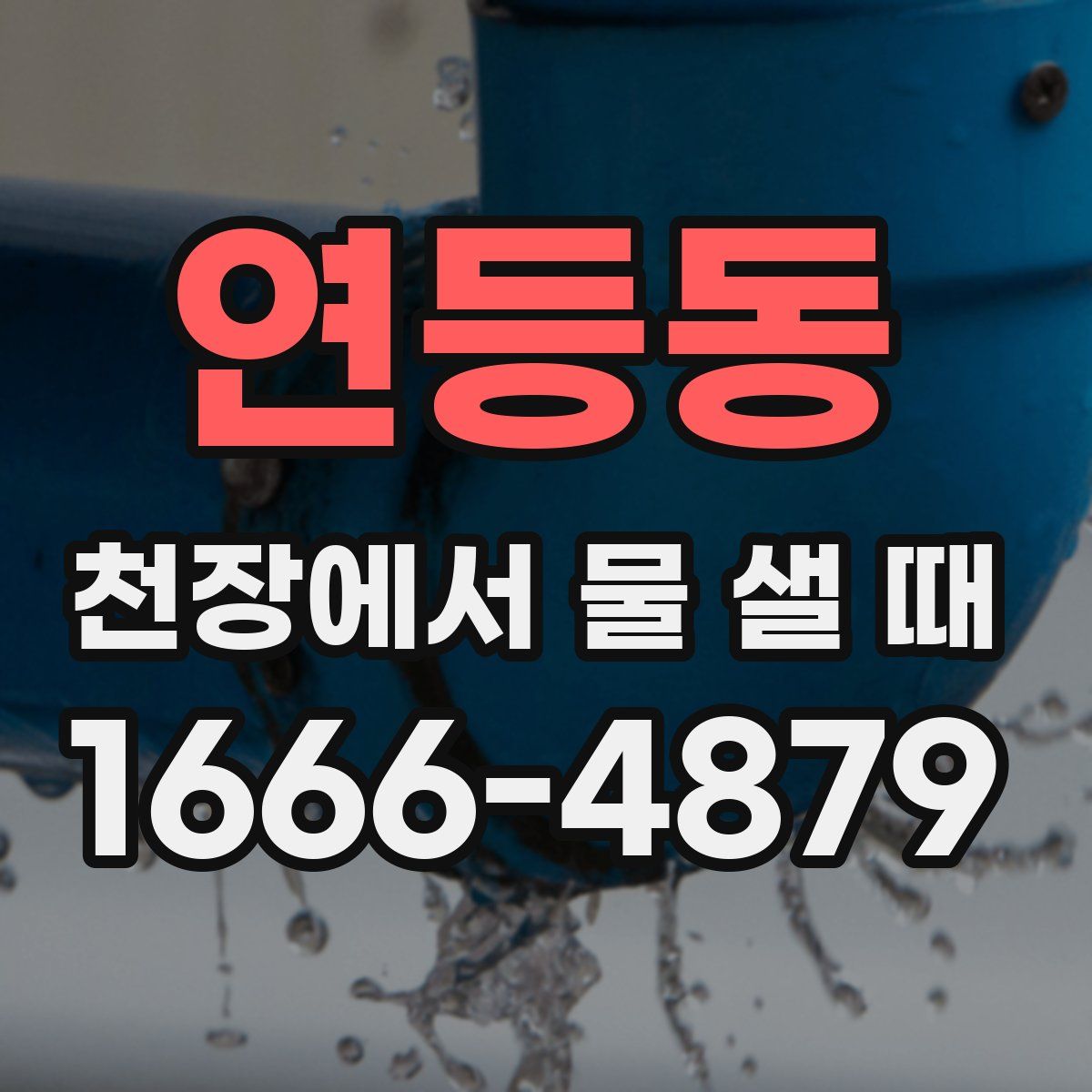 연등동 천장에서 물 샐 때