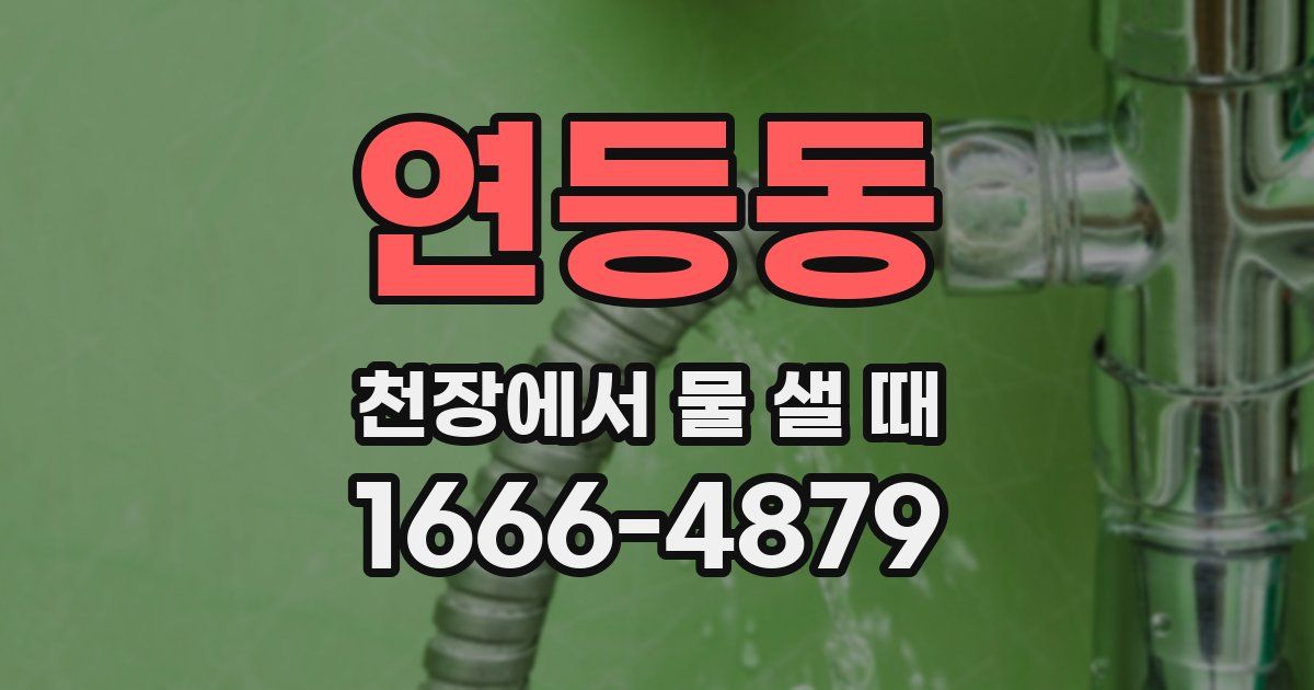 연등동 천장에서 물 샐 때