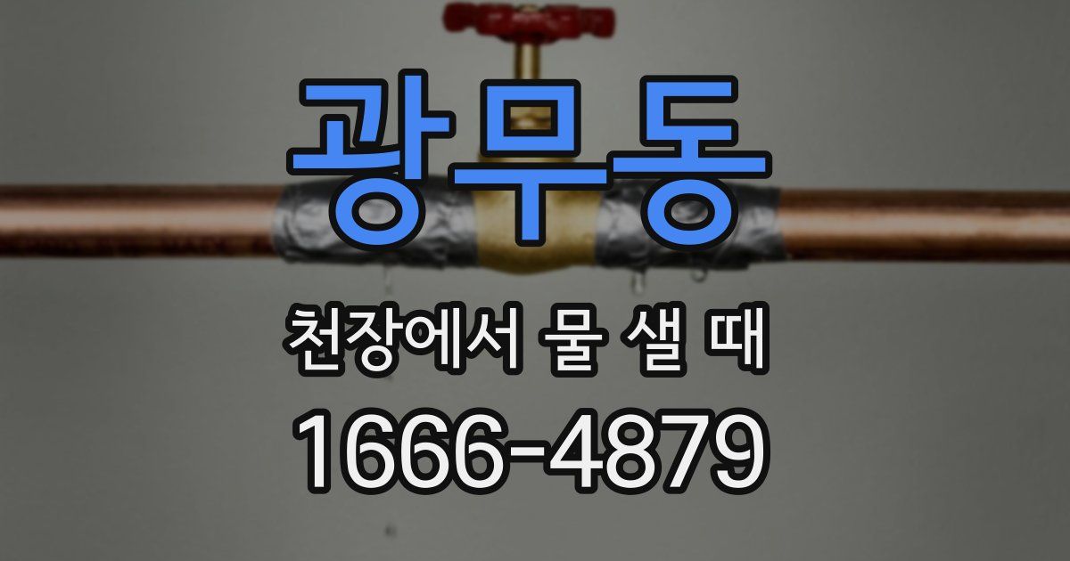 광무동 천장에서 물 샐 때