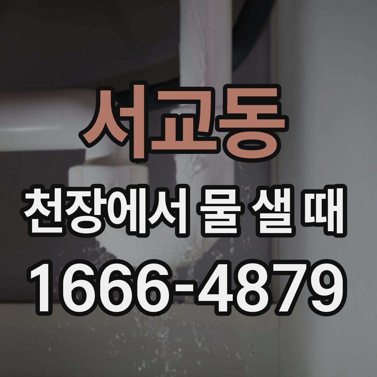 서교동 천장에서 물 샐 때