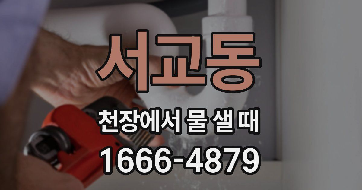 서교동 천장에서 물 샐 때