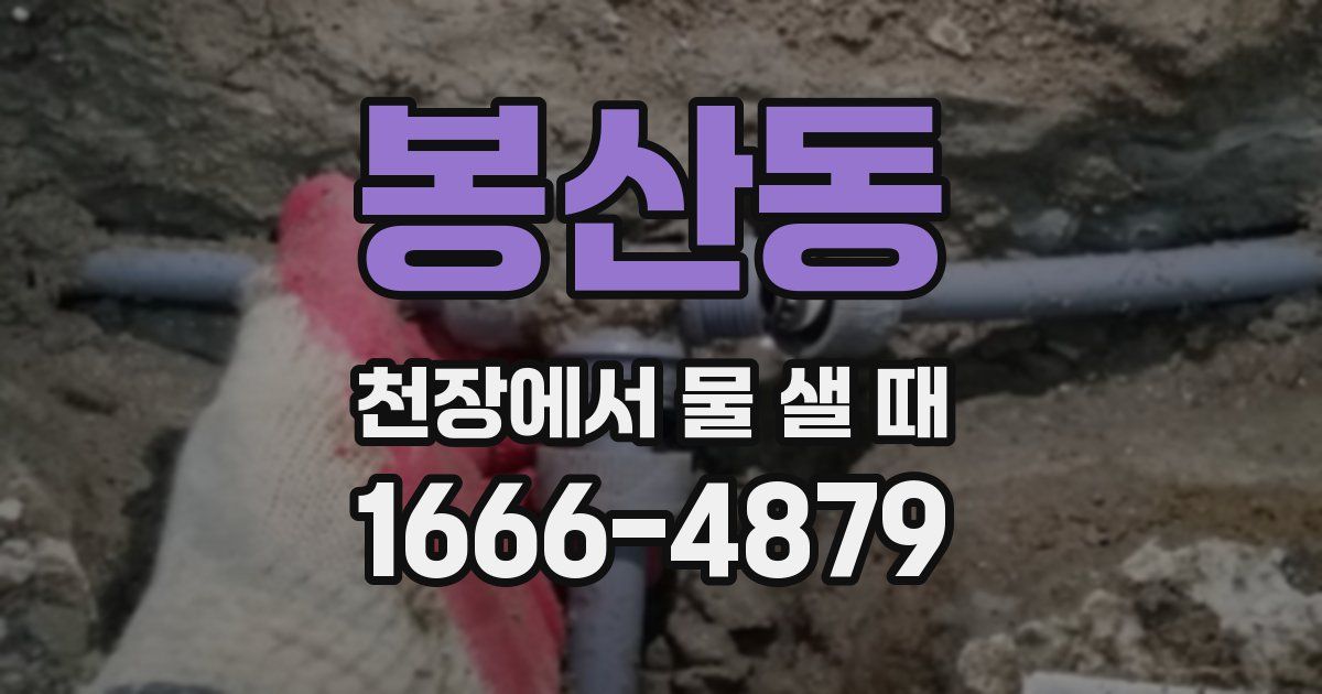 봉산동 천장에서 물 샐 때