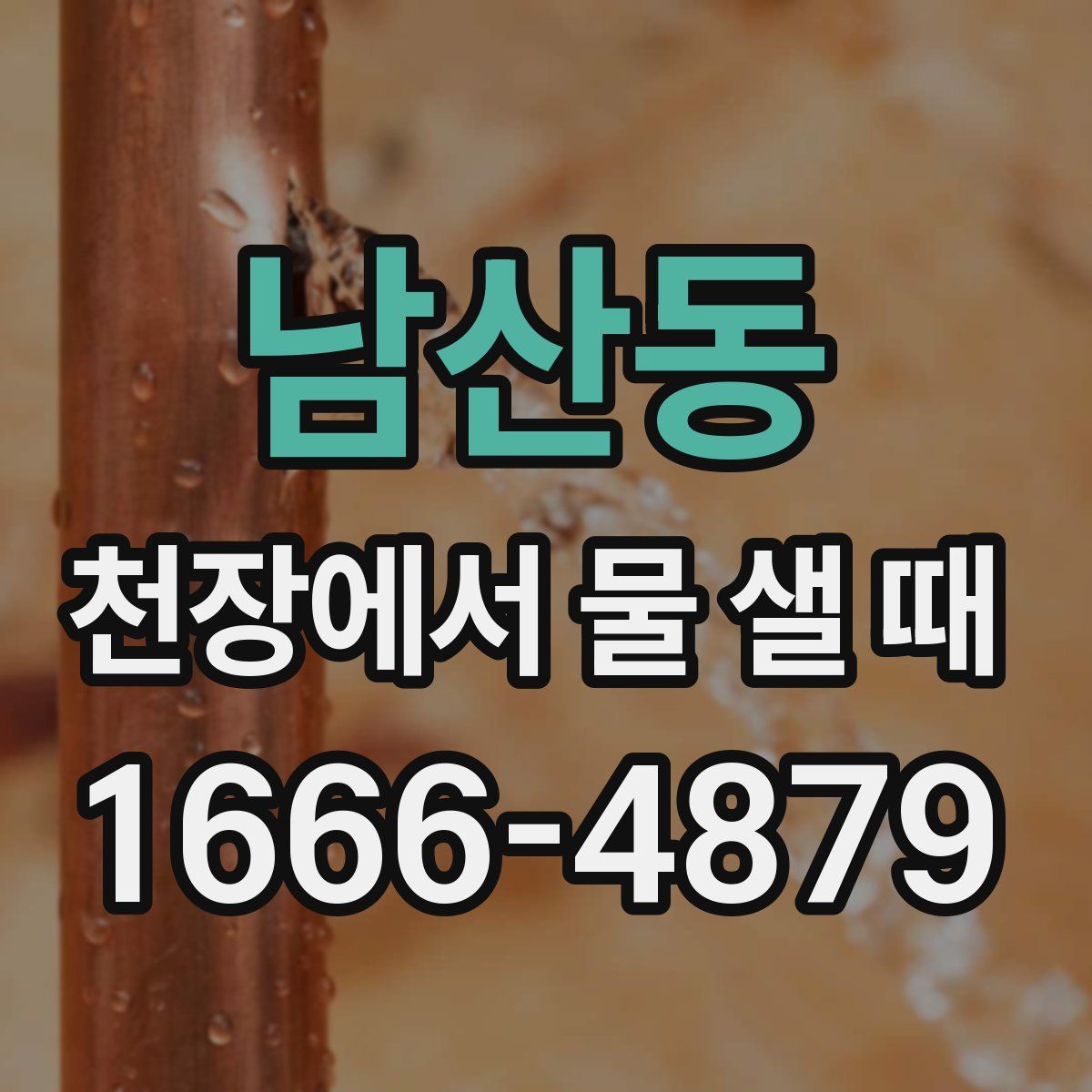 남산동 천장에서 물 샐 때