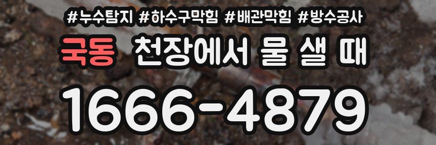 국동 천장에서 물 샐 때